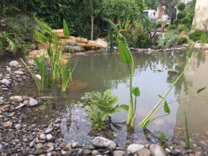 creation bassin paysagiste