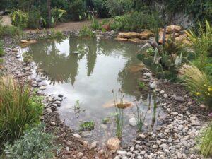 creation bassin paysagiste 86