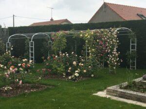 plantation rosiers