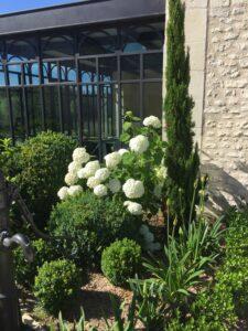 plantation jardin poitiers châtellerault